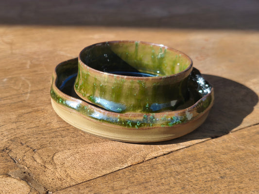 TAZZA DA CAPPUCCINO E PIATTINO